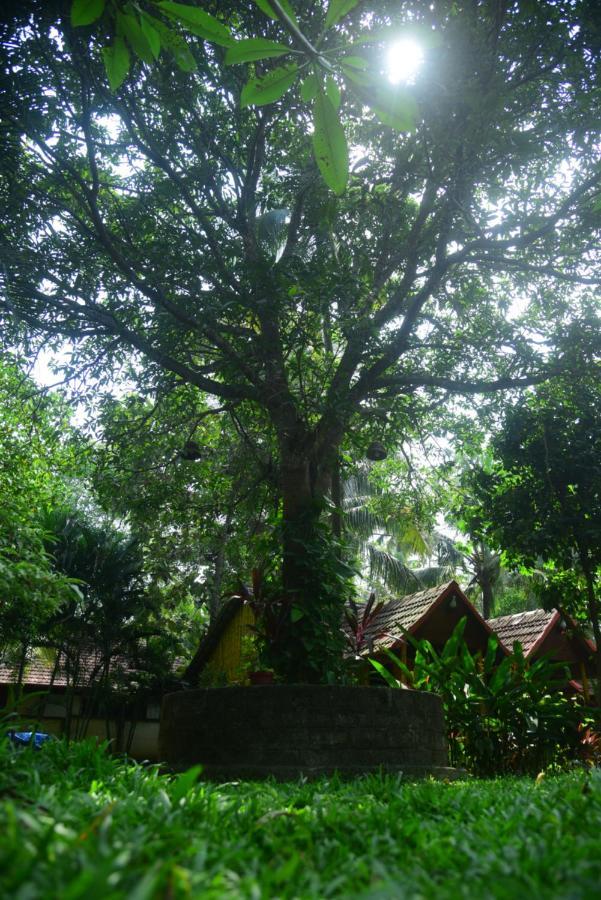 Savithri Inn Cottage Varkala Exterior foto