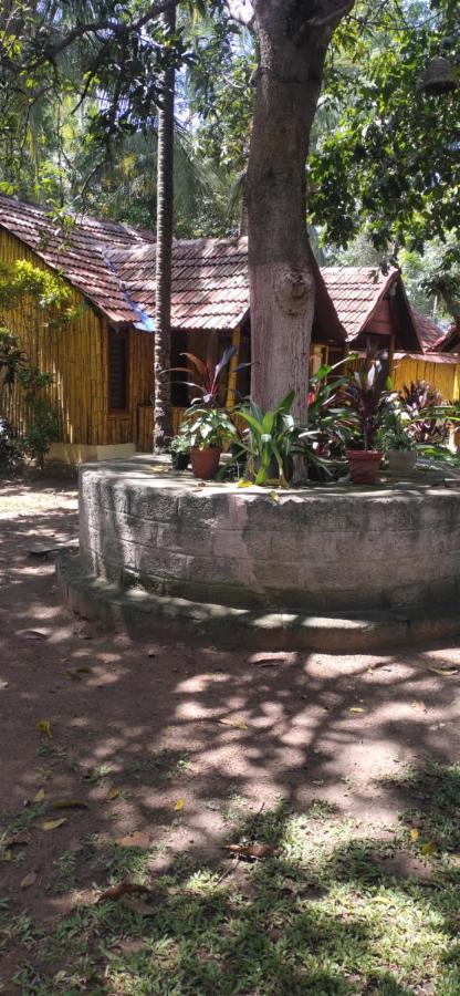Savithri Inn Cottage Varkala Exterior foto